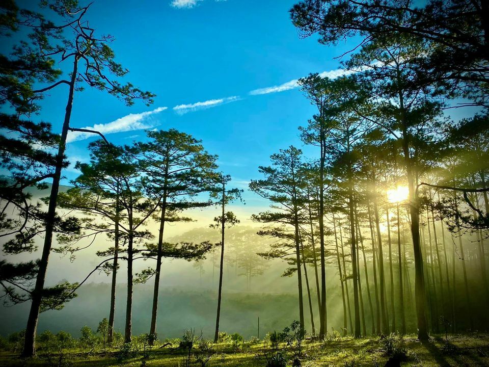 Khung cảnh thiên nhiên tại Vườn quốc gia Bidoup Núi Bà nên đi khi du lịch Đà Lạt