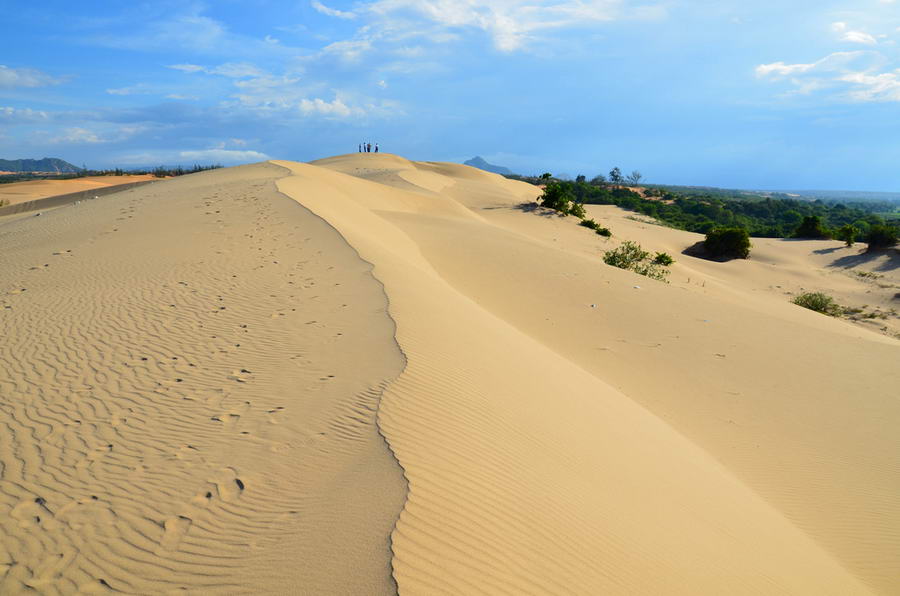 Đồi cát Nam Cương tại Ninh Thuận vô cùng hùng vĩ